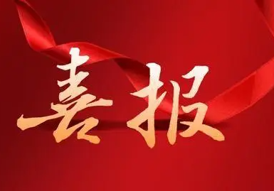 公司又双叒叕荣膺“上海市文明单位”称号
